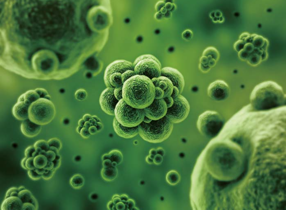 淺析廢水生物處理的基本方法-樂(lè)中環(huán)保