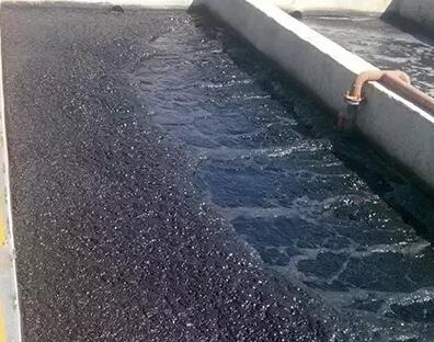 活性污泥 活性污泥