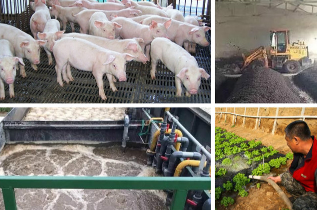 養殖污水處理一體設備多少錢？養殖污水處理方法