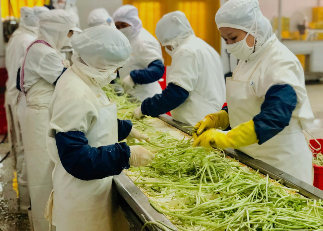 三種食品污水處理設(shè)備工藝流程，看看哪種適合您？