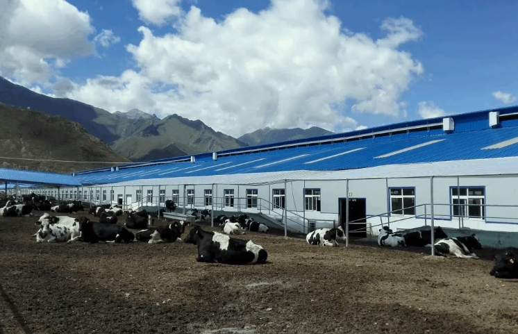 100多頭豬養殖廢水處理方法，用這兩種方法投入低、輕松達標！