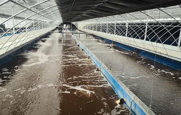 畜禽污水處理的方法、步驟（主流畜禽污水處理工藝有哪些）