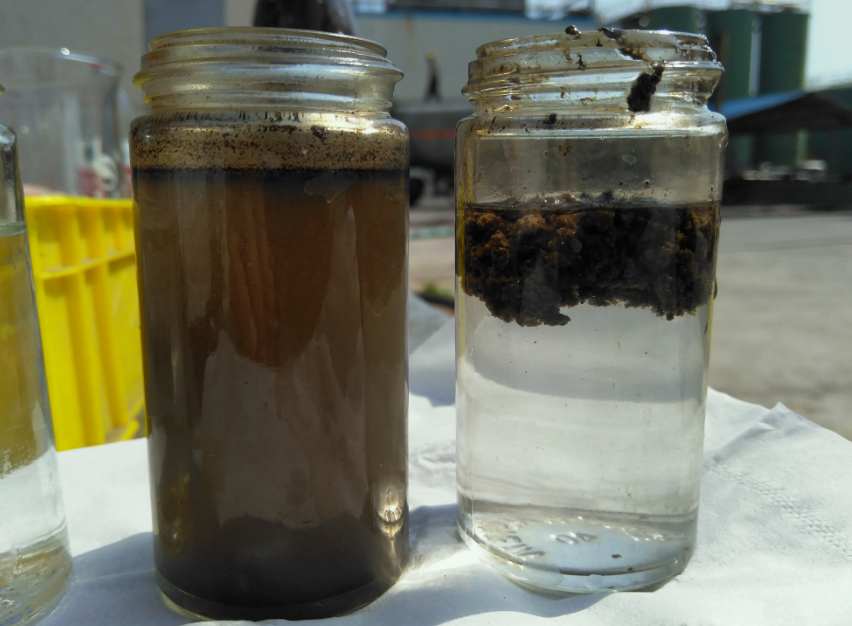 AO工藝出水SS高什么原因|怎么辦？